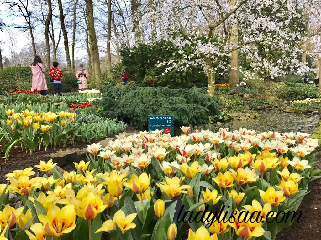 keukenhof
